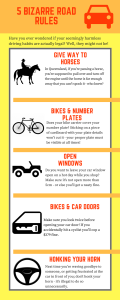 Sarina insurance road laws