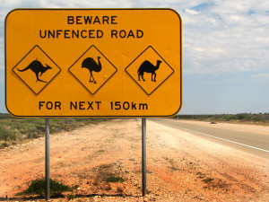 car insurance and road laws
